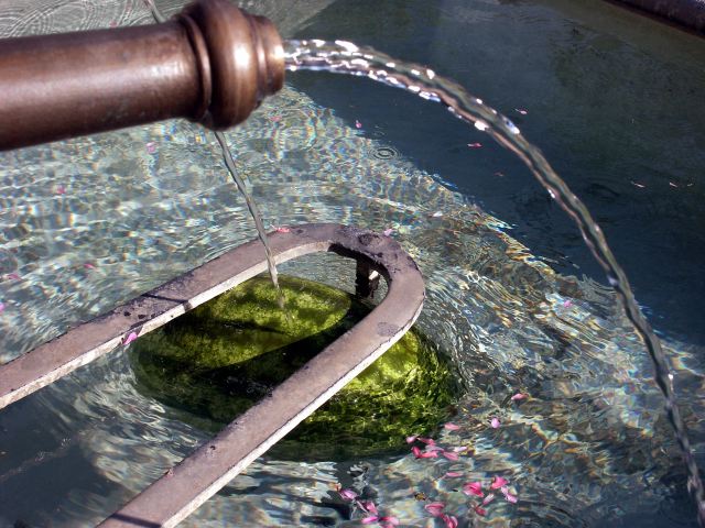 PICT6224.JPG