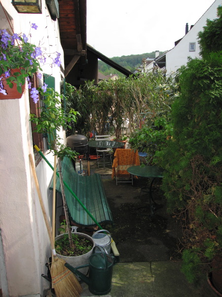 IMG_2131.jpg