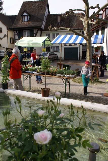 DSC07226.jpg