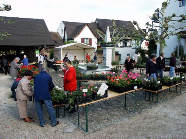PICT6041.JPG