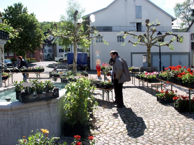 PICT6046.JPG