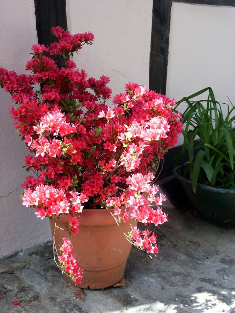 PICT6047.JPG
