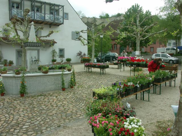 PICT1249.JPG