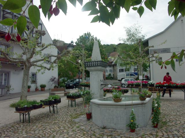 PICT1253.JPG