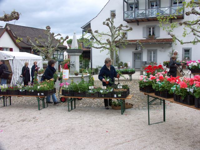 PICT1267.JPG