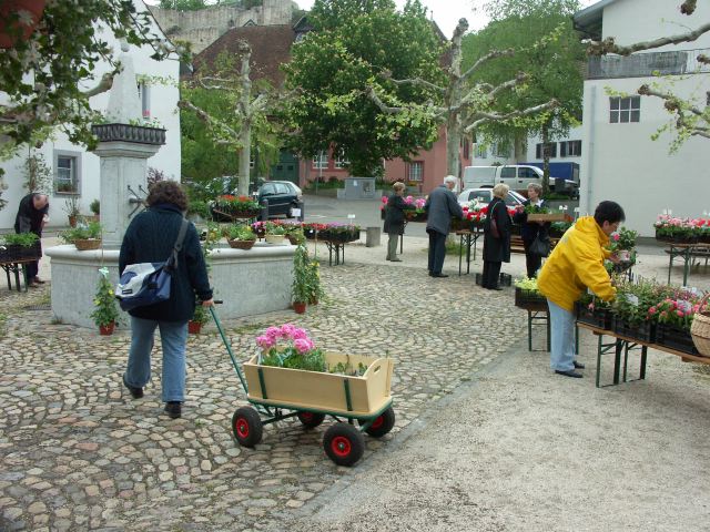 PICT1276.JPG