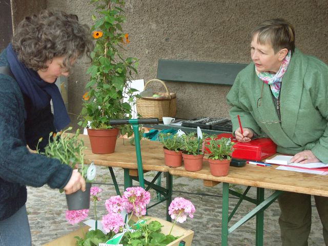 PICT1285.JPG