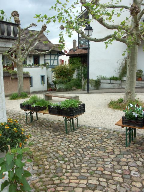 PICT1288.JPG