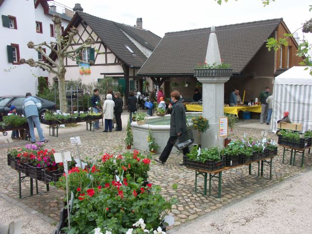 PICT1299.JPG