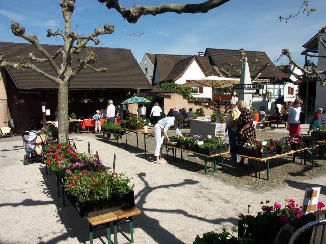 Blumenmarkt2005 - 02.jpg