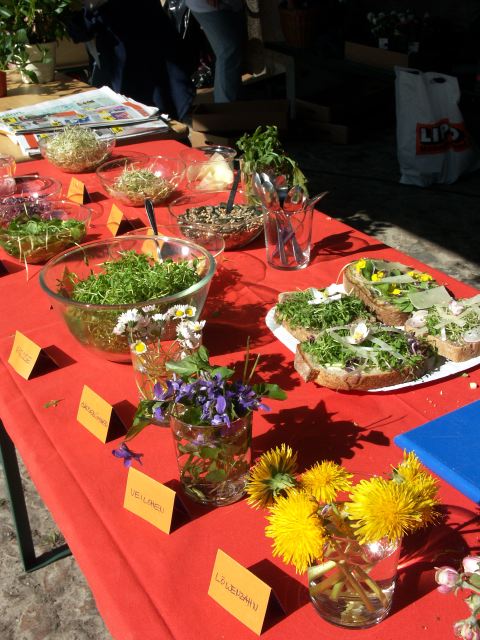 Blumenmarkt2005 - 12.jpg