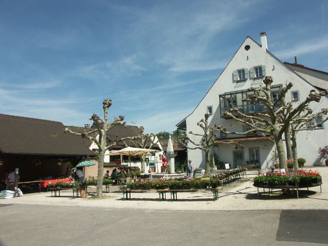 Blumenmarkt2005 - 44.jpg
