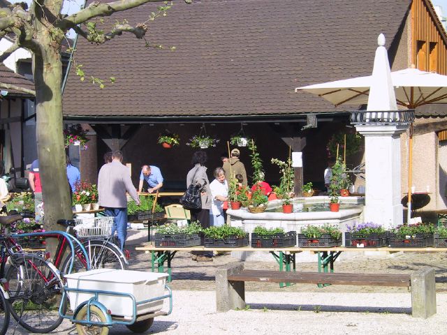 Geraniummarkt 2005 029.jpg