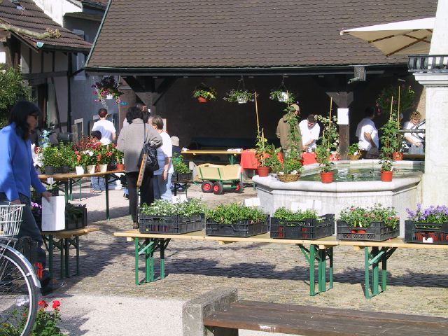 Geraniummarkt 2005 031.jpg