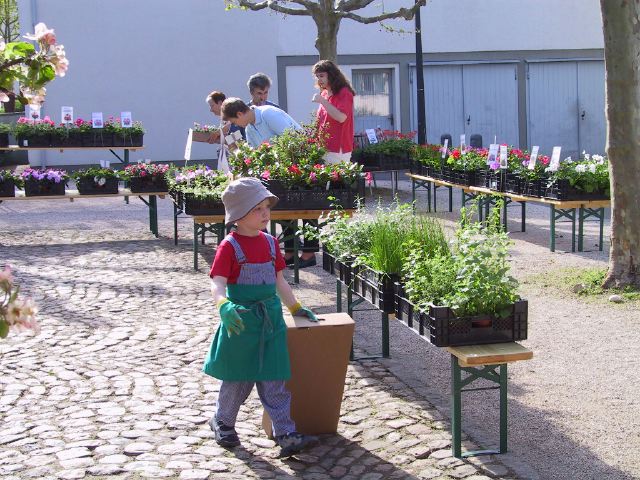 Geraniummarkt 2005 049.jpg
