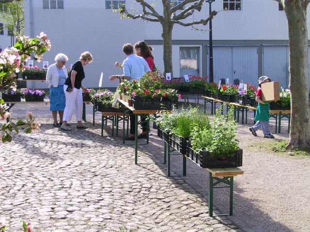 Geraniummarkt 2005 050.jpg