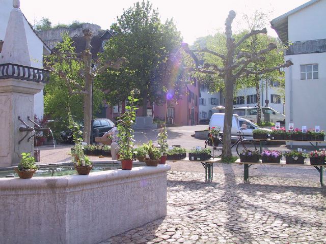 Geraniummarkt 2005 053.jpg