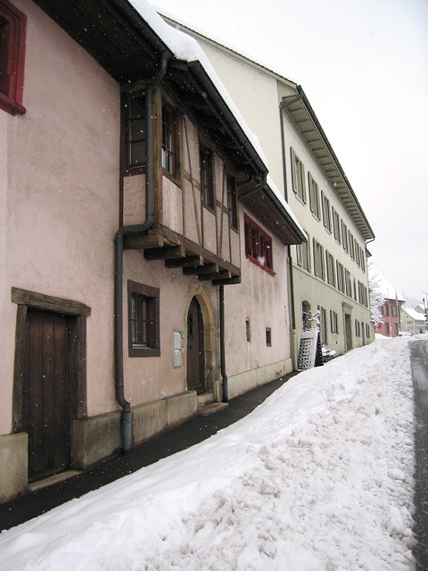 IMG_1830.jpg