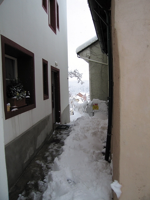 IMG_1868.jpg