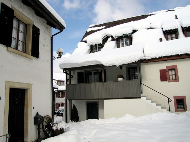 IMG_1925.jpg