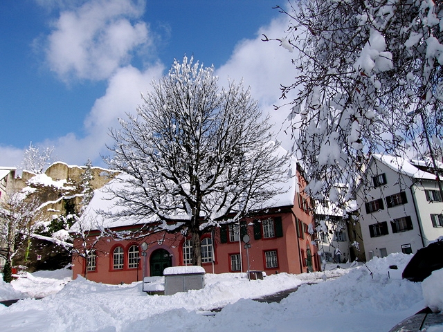 IMG_1947.jpg