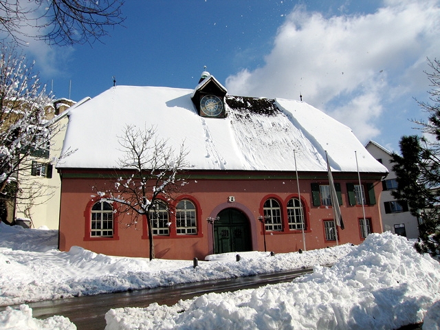 IMG_1961.jpg