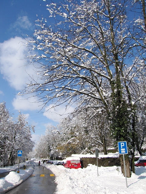 IMG_1976.jpg