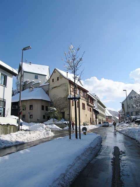 IMG_1998.jpg