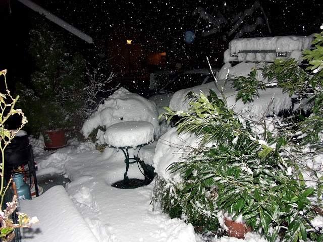 PICT4013.jpg
