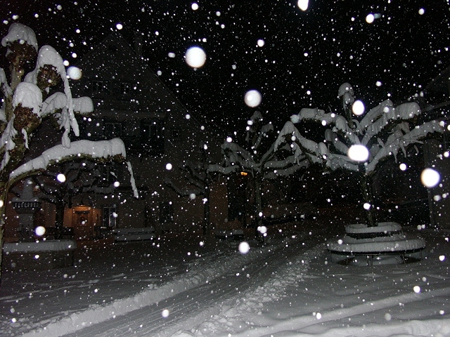 PICT4015.jpg