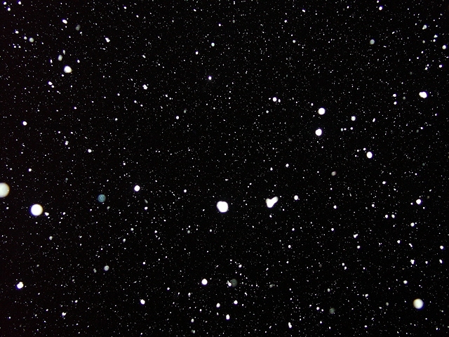 PICT4016.jpg