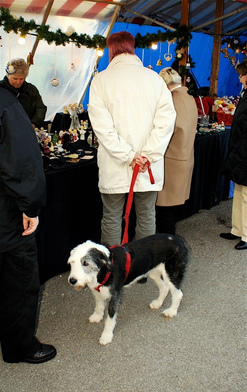 DSC04309.JPG