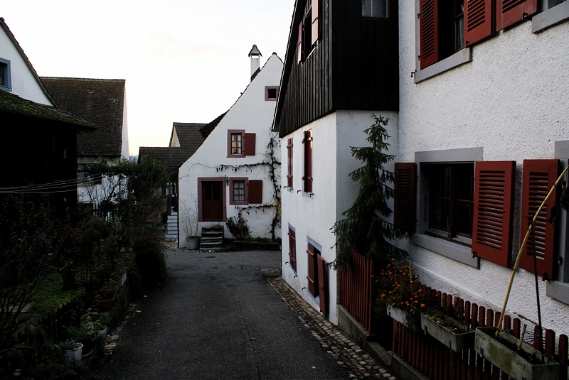 DSC04372.JPG